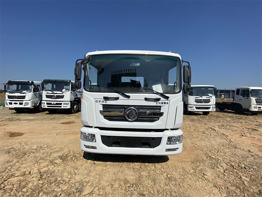 東風(fēng)D9（3950，玉柴165）國六 內(nèi)飾照片圖