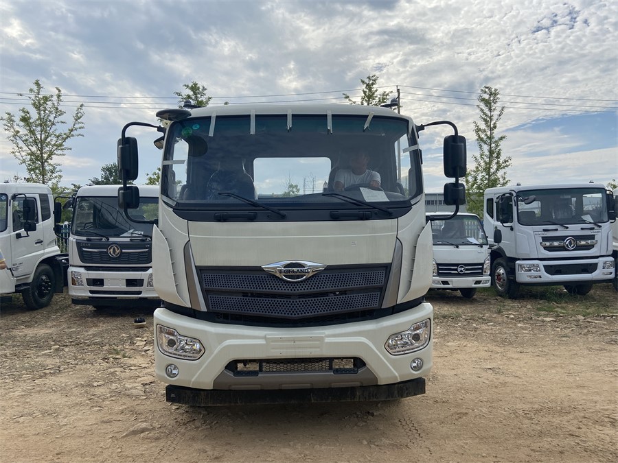 福田ES7（4500，濰柴220）國六 內(nèi)飾照片圖